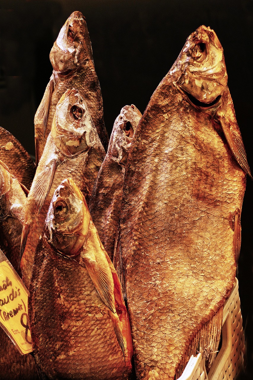 dried food